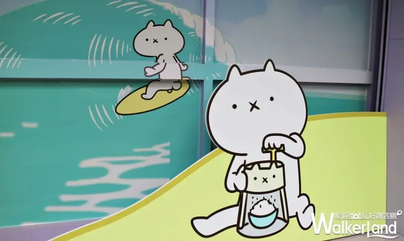 反應過激的貓咖啡廳 / WalkerLand窩客島提供 未經許可，不得轉載