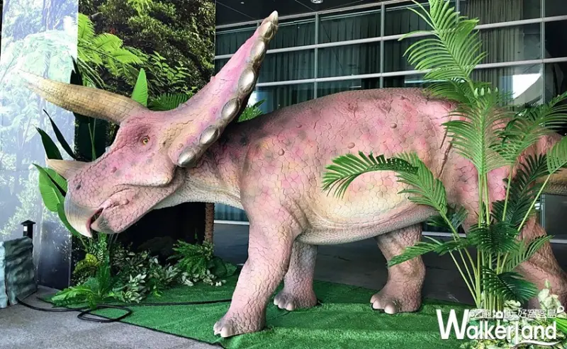 南港CityLink / WalkerLand窩客島整理提供 未經許可，不得轉載