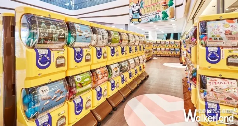 2019熊貓之穴扭蛋巡迴展 / WalkerLand窩客島整理提供 未經許可不可轉載