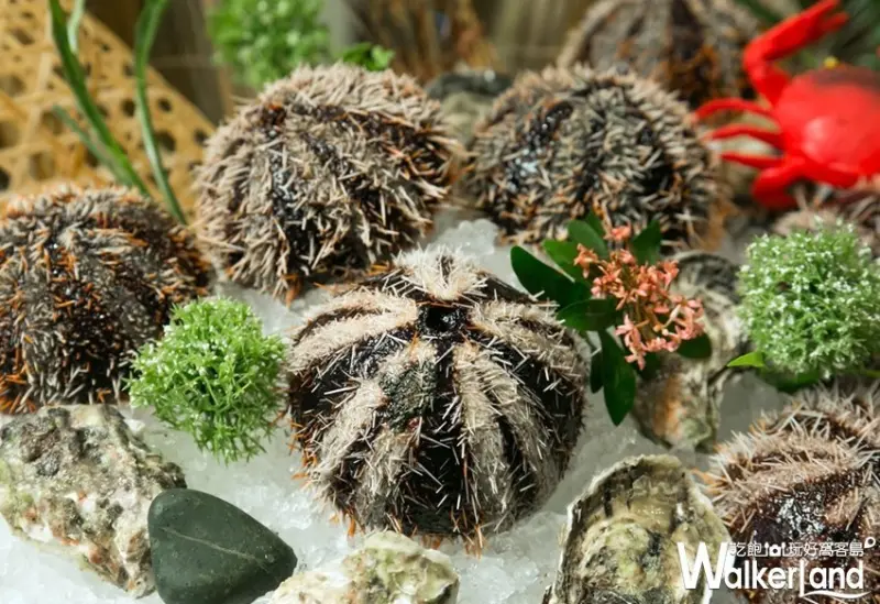 美麗信花園酒店「雨林餐廳」 / WalkerLand窩客島整理提供 未經許可，不得轉載