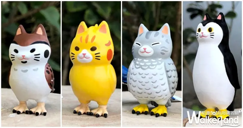 貓鳥 / WalkerLand窩客島提供 未經許可，不得轉載