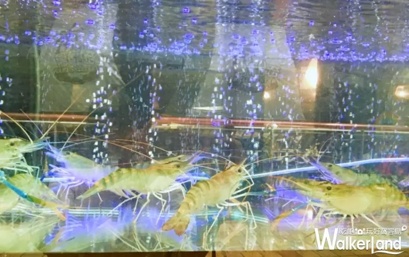 蝦泰泰流水蝦餐廳 / WalkerLand窩客島整理提供 未經授權不可轉載