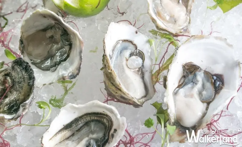 美麗信花園酒店「雨林餐廳」 / WalkerLand窩客島整理提供 未經許可，不得轉載