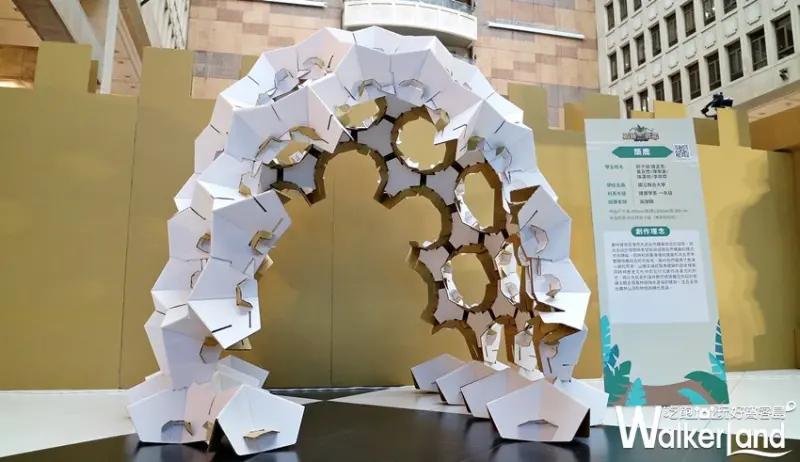 紙箱戰記 叢林迷宮 / WalkerLand窩客島提供 未經許可，不得轉載