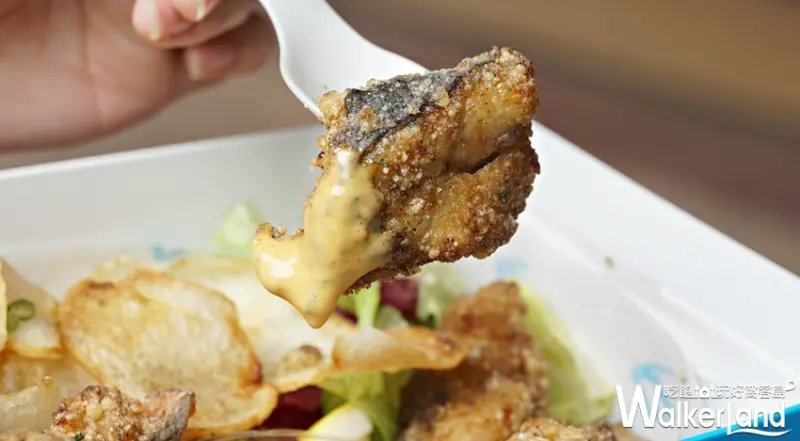 OCEAN BOX / WalkerLand窩客島提供 未經許可，不得轉載