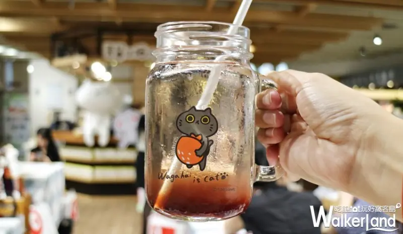 反應過激的貓咖啡廳 / WalkerLand窩客島提供 未經許可，不得轉載