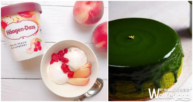 樂天市場/ WalkerLand窩客島提供 未經許可，不得轉載