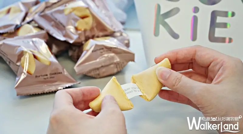 agnès b. / WalkerLand窩客島提供 未經許可，不得轉載