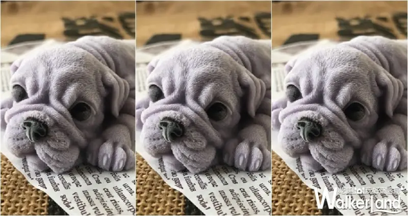 生活市集「冰冰好Fun」專區 / WalkerLand窩客島整理提供 未經許可，不得轉載