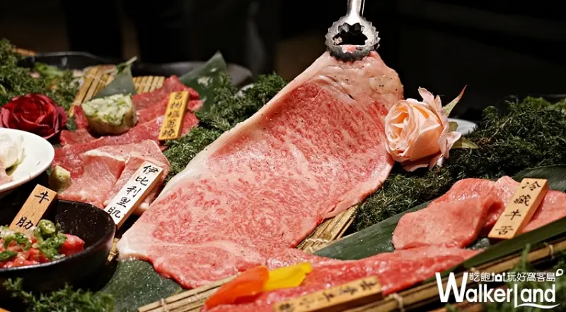 乾杯 / WalkerLand窩客島提供 未經許可，不得轉載