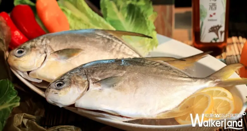 台北火鍋「Hi-Q鱻食」 / WalkerLand窩客島整理提供 未經許可不可轉載