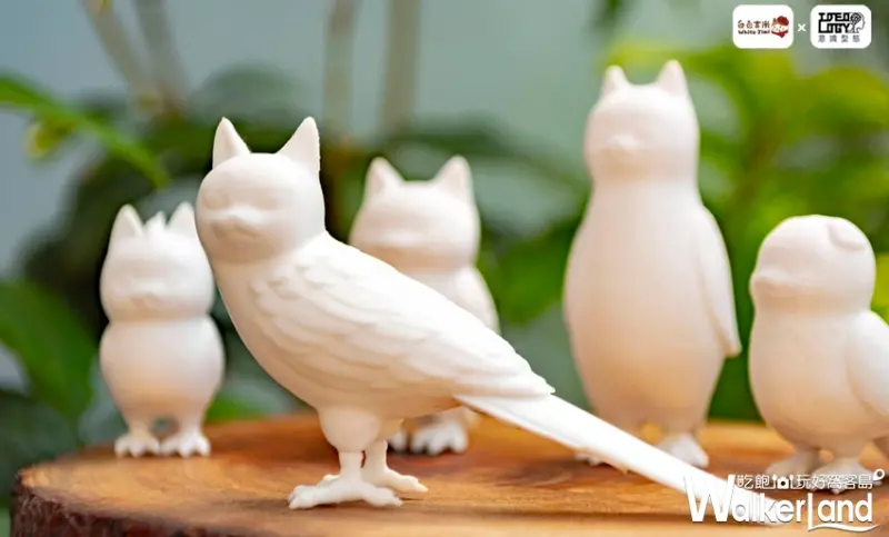 貓鳥 / WalkerLand窩客島提供 未經許可，不得轉載
