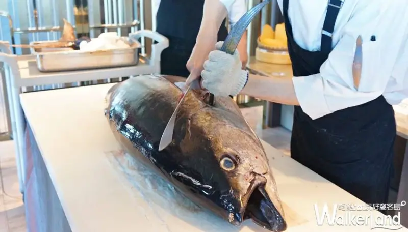 50樓Café / WalkerLand窩客島提供 未經許可，不得轉載