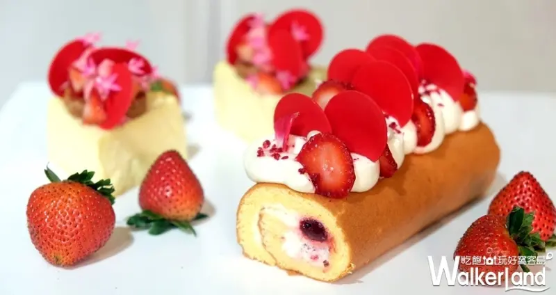 雄獅x威尼斯號獨家限定夢幻賞櫻8日遊 / WalkerLand窩客島整理提供 未經許可不可轉載