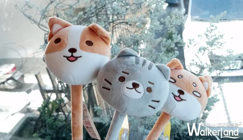 亞尼克生乳捲 / WalkerLand窩客島整理提供 未經許可，不得轉載