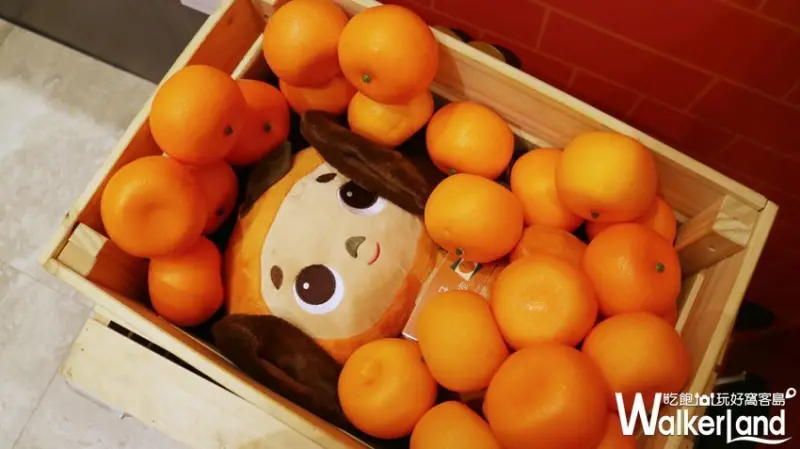 2019夏日偶像派對 / WalkerLand窩客島提供 未經許可，不得轉載