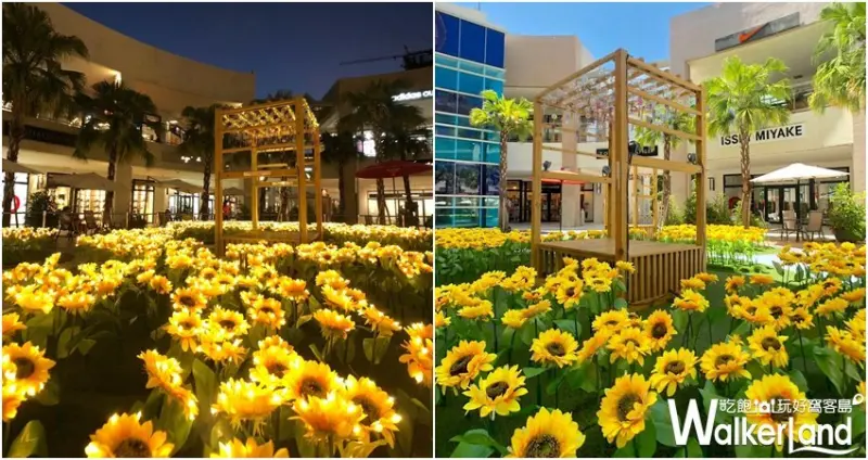 「向日葵花海」林口三井Outlet / WalkerLand窩客島整理提供 未經許可不可轉載