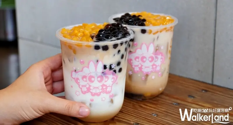 Tea Top / WalkerLand窩客島提供 未經許可，不得轉載