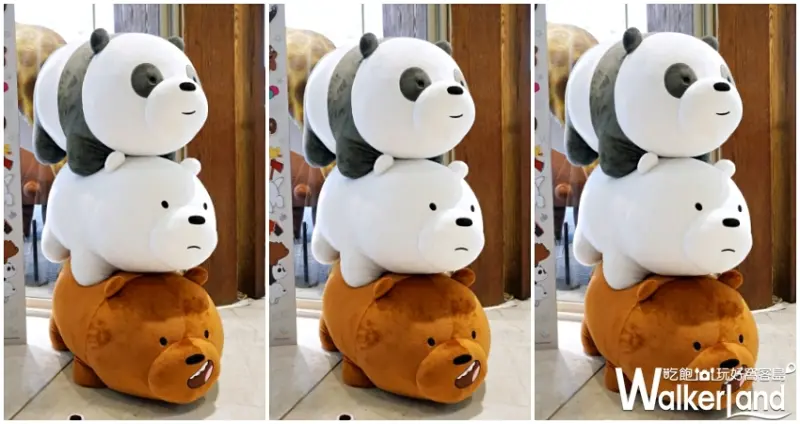 熊熊遇見你 / WalkerLand窩客島提供 未經許可，不得轉載