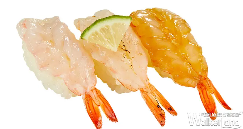 壽司郎「海老祭」 / WalkerLand窩客島整理提供 未經許可不可轉載