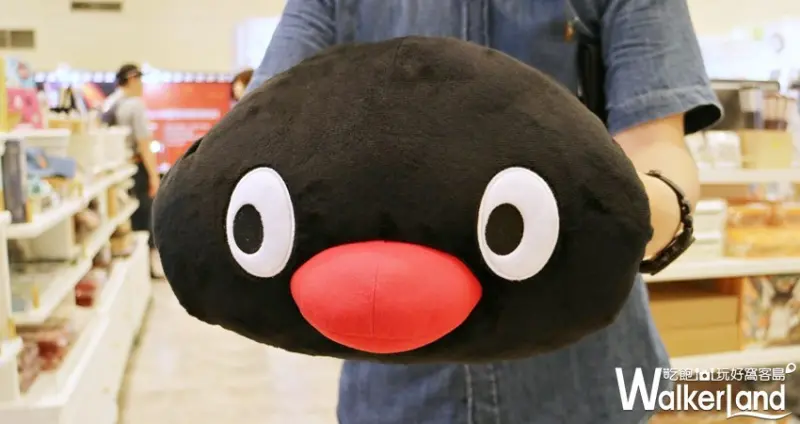 2019夏日偶像派對 / WalkerLand窩客島提供 未經許可，不得轉載