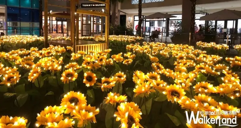 「向日葵花海」林口三井Outlet / WalkerLand窩客島整理提供 未經許可不可轉載