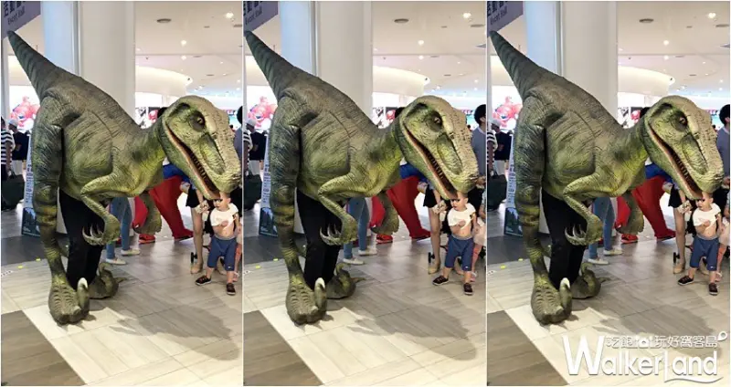 恐龍氣墊嘉年華 / WalkerLand窩客島整理提供 未經許可，不得轉載
