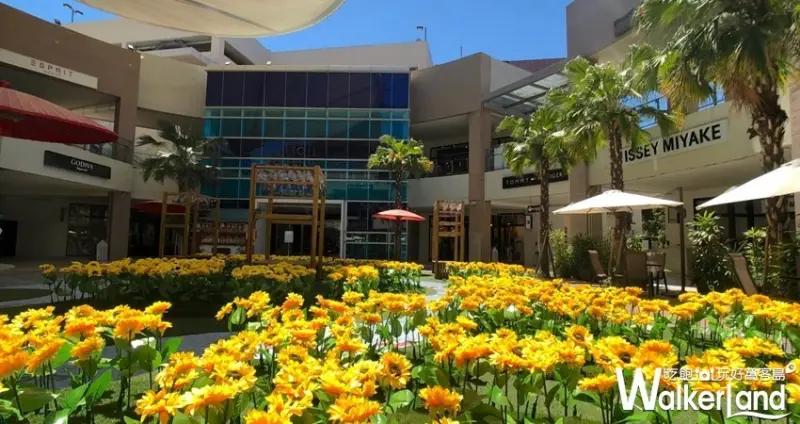 「向日葵花海」林口三井Outlet / WalkerLand窩客島整理提供 未經許可不可轉載