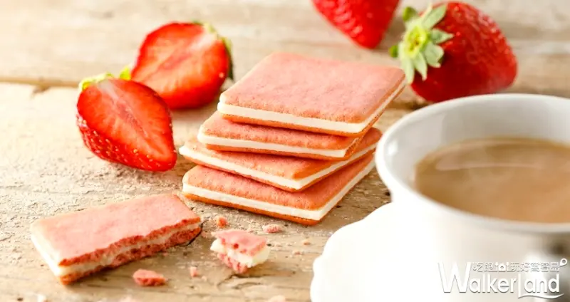 SOGO忠孝館「東京牛奶起司工房」 / WalkerLand窩客島整理提供 未經許可不可轉載