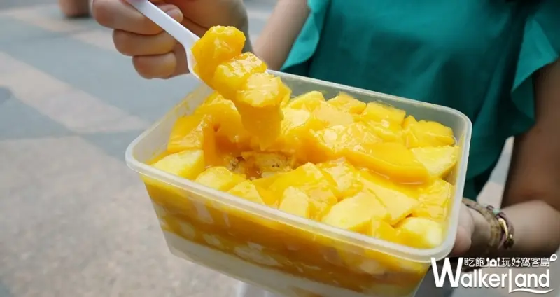 橘村屋 榴槤甜點 / WalkerLand窩客島整理提供 未經許可不可轉載