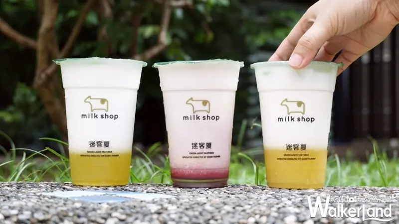 迷客夏 / WalkerLand窩客島提供 未經許可，不得轉載