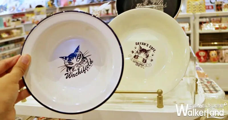 2019夏日偶像派對 / WalkerLand窩客島提供 未經許可，不得轉載