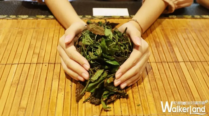 HOHOCHA喝喝茶  / WalkerLand窩客島提供 未經許可，不得轉載