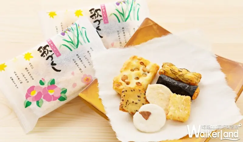 日本「富山灣的寶石」白蝦仙貝/ WalkerLand窩客島整理提供 未經授權不可轉載