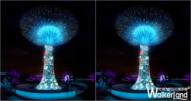 2019澎湖國際海灣燈光節 / WalkerLand窩客島整理提供 未經許可不可轉載