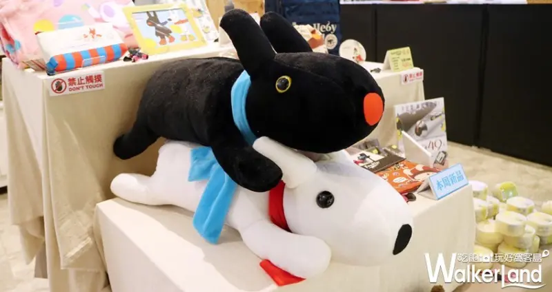 2019夏日偶像派對 / WalkerLand窩客島提供 未經許可，不得轉載