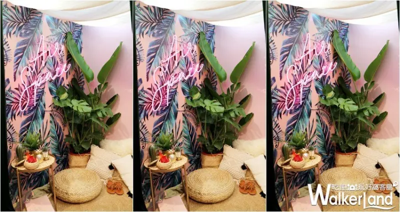 比基尼特色快閃店 / WalkerLand窩客島提供 未經許可，不得轉載