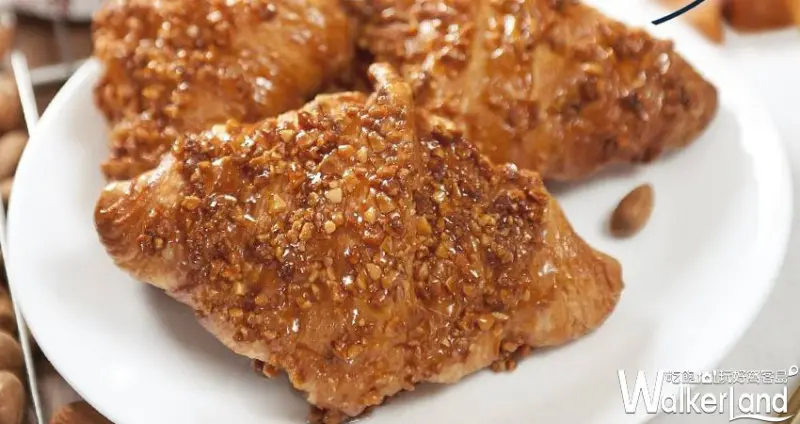 八月堂可頌 松露白醬松葉蟹 / WalkerLand窩客島整理提供 未經許可不可轉載