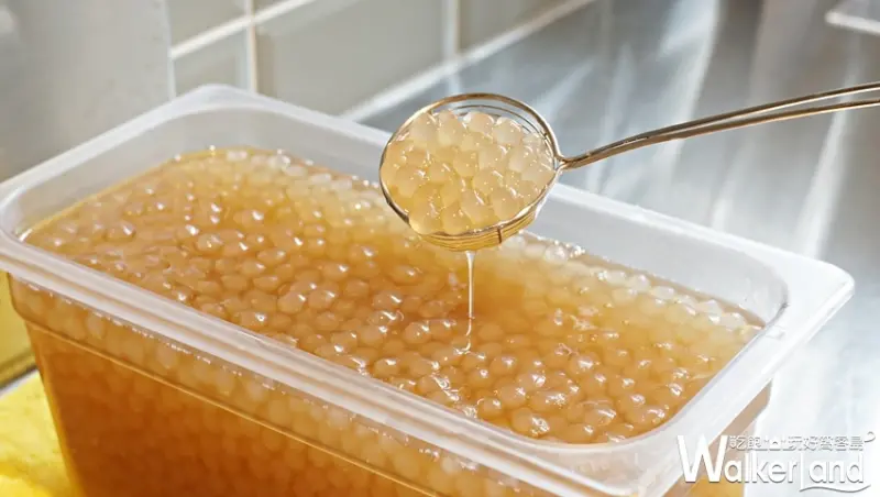 迷客夏 / WalkerLand窩客島提供 未經許可，不得轉載