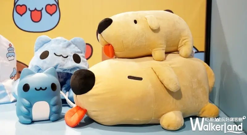 貓貓蟲咖波 / WalkerLand窩客島提供 未經許可，不得轉載