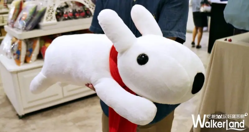 2019夏日偶像派對 / WalkerLand窩客島提供 未經許可，不得轉載