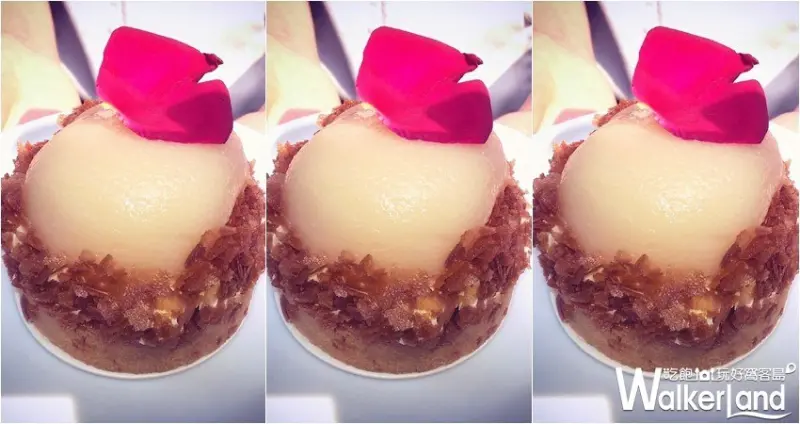 Ponpie快閃店 / WalkerLand窩客島整理提供 未經許可，不得轉載