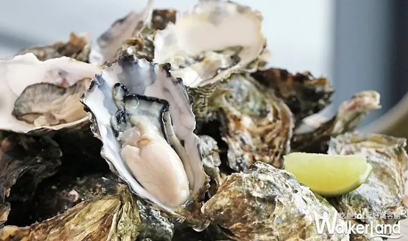 台北士林萬麗酒店自助餐廳「士林廚房」 / WalkerLand窩客島整理提供 未經許可，不得轉載