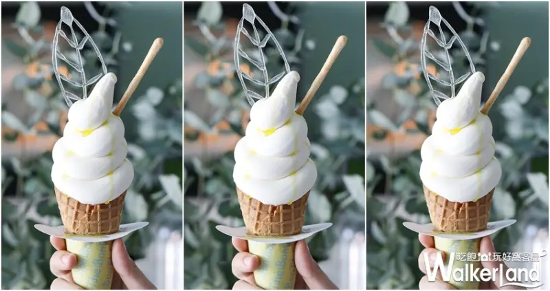 淡水甜點「雪文洋行」 / WalkerLand窩客島整理提供 未經許可不可轉載