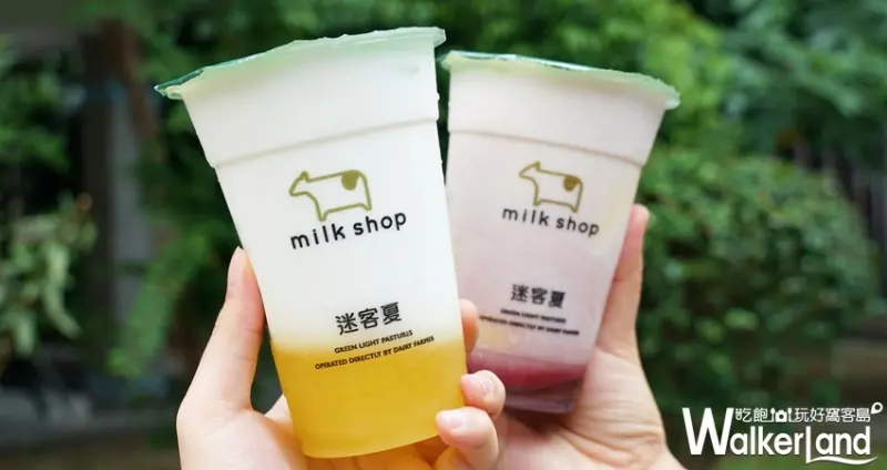 迷客夏 / WalkerLand窩客島提供 未經許可，不得轉載