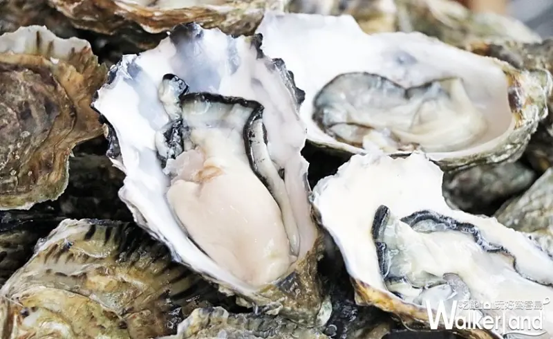 台北士林萬麗酒店自助餐廳「士林廚房」 / WalkerLand窩客島整理提供 未經許可，不得轉載