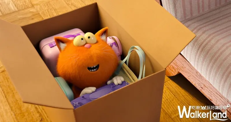 呆萌特務 / WalkerLand窩客島整理提供 未經許可，不得轉載