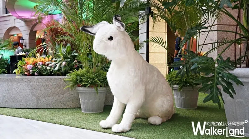 BELLAVITA / WalkerLand窩客島提供 未經許可，不得轉載