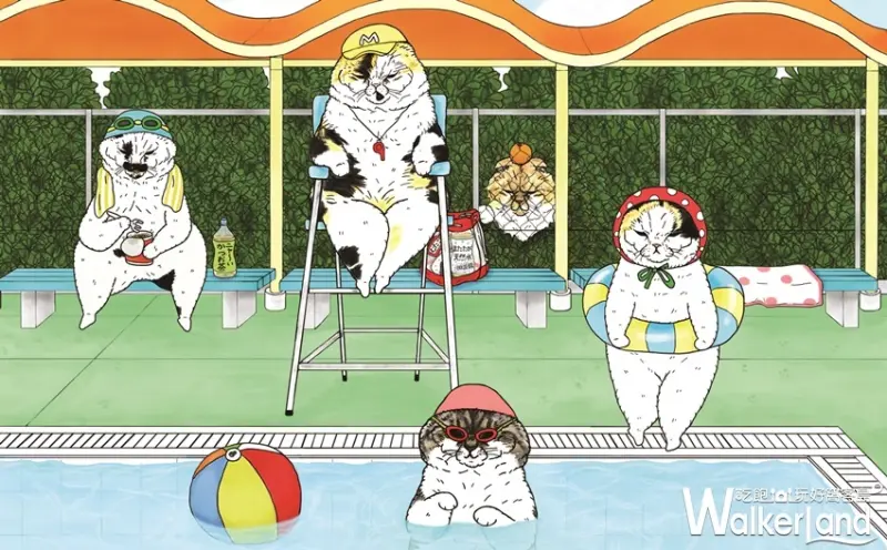 不可思議的貓世界，萌貓特展 / WalkerLand窩客島整理提供 未經許可，不得轉載