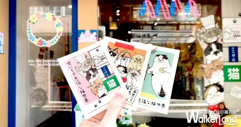 不可思議的貓世界，萌貓特展 / WalkerLand窩客島整理提供 未經許可，不得轉載
